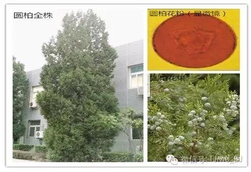徐州全自动陶瓷过滤机厂家