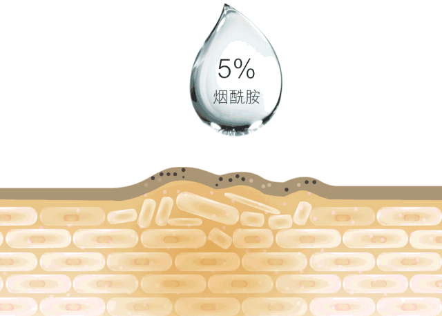 美加净身体乳擦身体会不会致痘