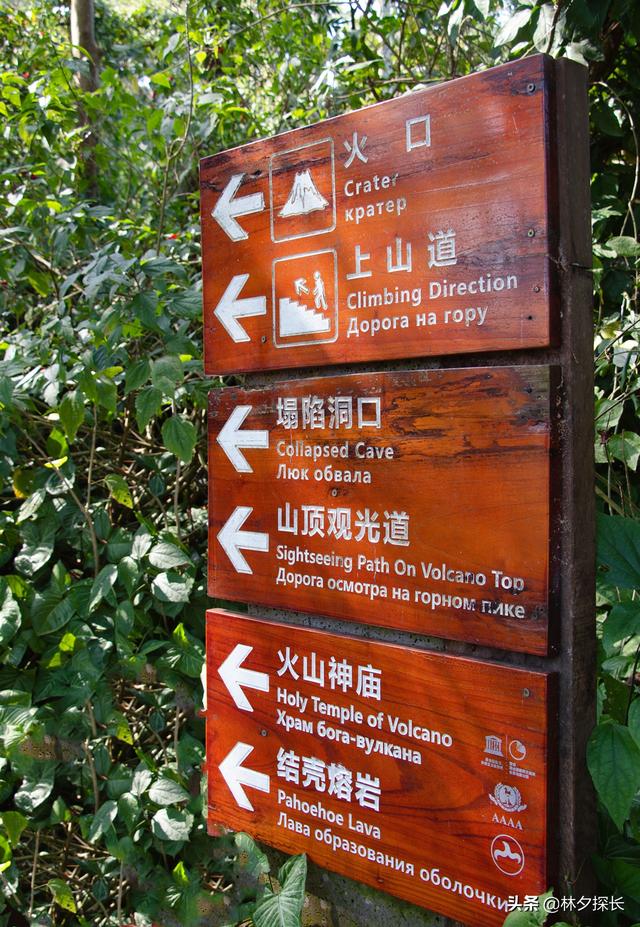 五指山全自动过滤机