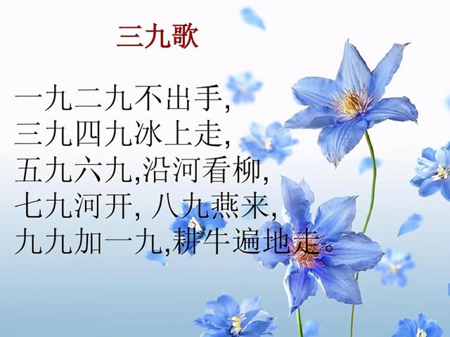 大寒刮南风清明见水坑什么意思农村俗语南风送大寒