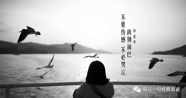 想见你可以有一万个理由,见到你,却发现缺少了一个见你的身份.