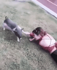 内涵图污gif：还是走路颤抖起来更好看