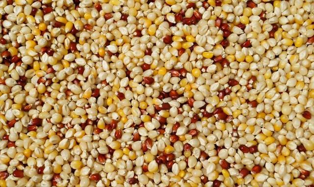 谈一谈五谷杂粮怎么吃才好