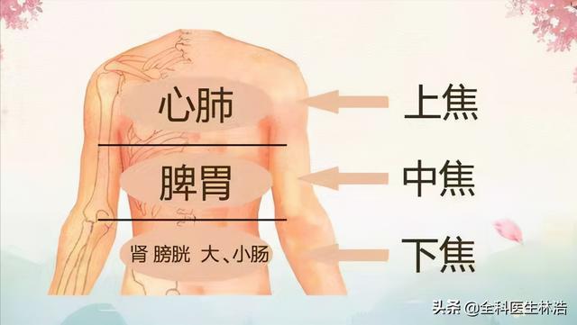 中医讲：肺为生气之主，脾为生气之源，肾为生气之根，如何理解？