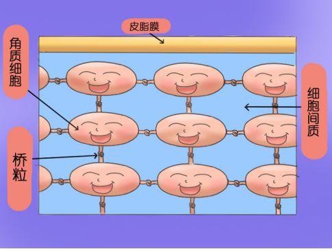 毛囊炎鱼鸡皮肤