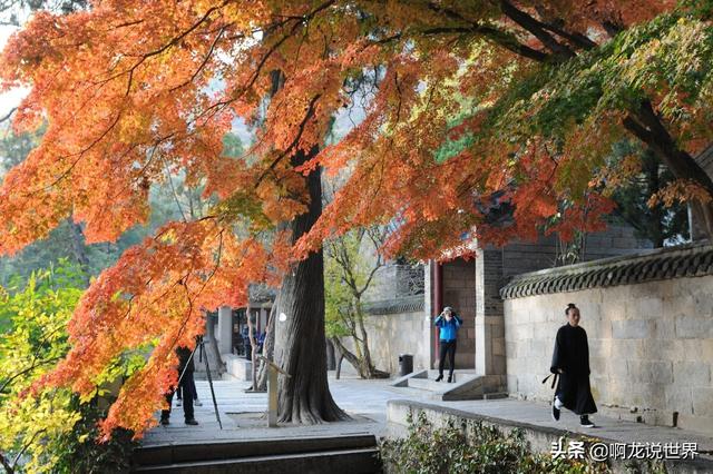 青岛旅游景点介绍