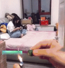 搞笑的GIF动态图：干不过猪的小老虎， 以后在老虎界还怎么混