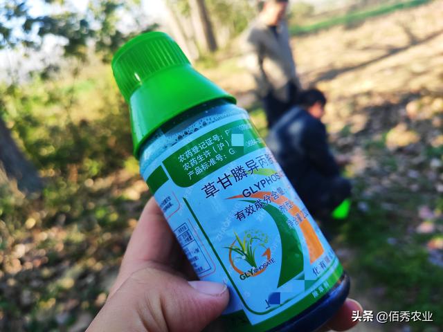 5元能配出高效草甘膦？农民应该了解的使用技巧，长效除草并不难