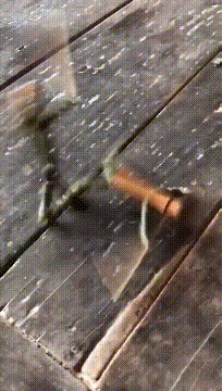 搞笑GIF动态图片：劝你还是换个地锻炼吧，不然啥身体也禁不起摔啊！