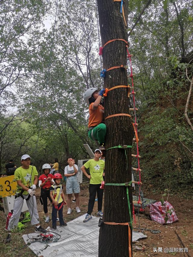 户外拓展培训班