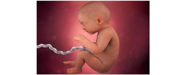 如何推算预产期？