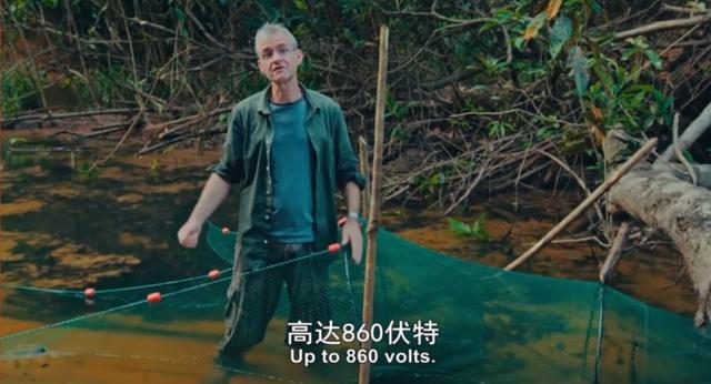 金属破碎机每日开机前必做检查比例失重调整