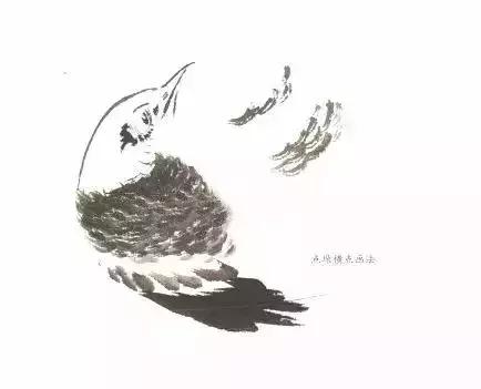 翎毛的意思怎么画翎毛