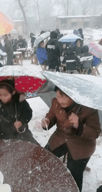 搞笑的GIF趣图：待我舔开之时，便是天下大乱之日