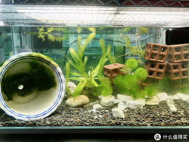 大蜗牛制砂机