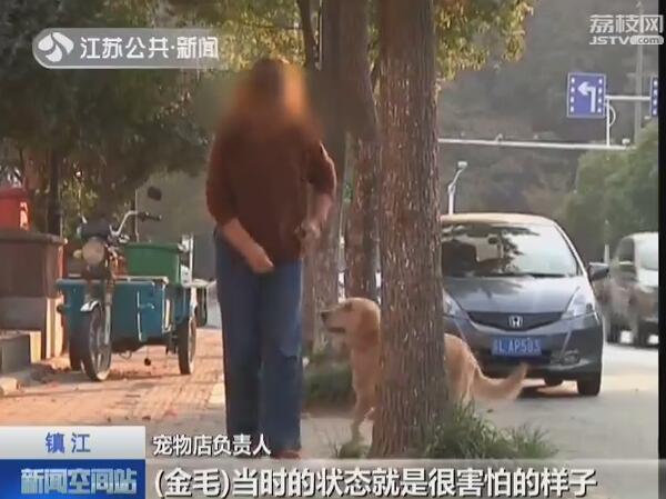 金毛猎犬多少钱