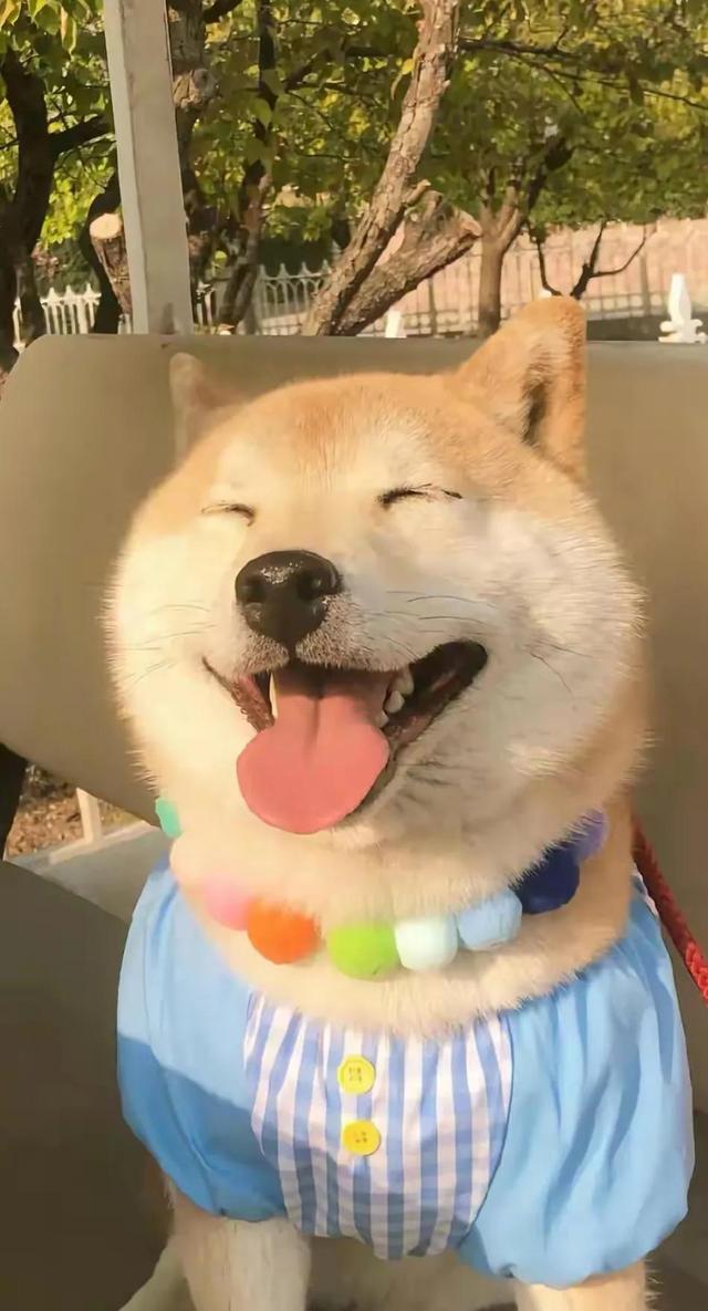 孕晚期暴脾气，怎么办？