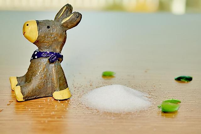 喜欢吃肉，与喜欢吃素，哪一种饮食习惯更健康？医生做出回答