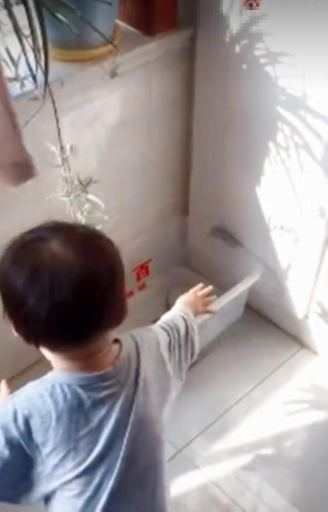 “初生牛犊不怕虎”：家里黄鳝跑出来爸妈不敢上手，只能拜托娃了