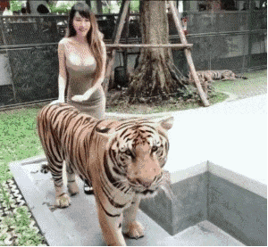 会让人胡思乱想的美女GIF动图：不得不说超模身材是真的好