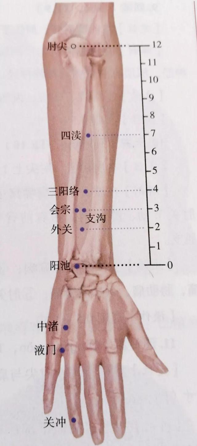 每日一穴……中渚穴