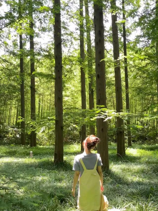 黃海森林公園團建