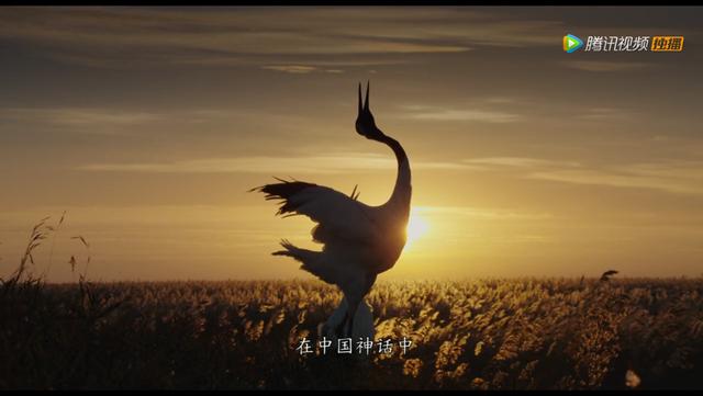 国庆节看这10部片子，让孩子认识中国、爱上中国