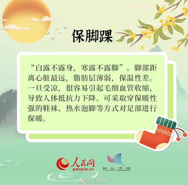 寒露养生这样子