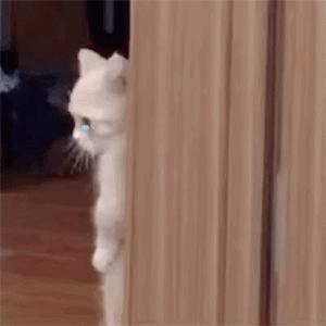 今年年底看了阿里P7的工资单以及招聘需求：懂点算法，就这么香？