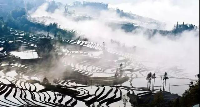 开远市定制立式鹅卵石制砂机价格