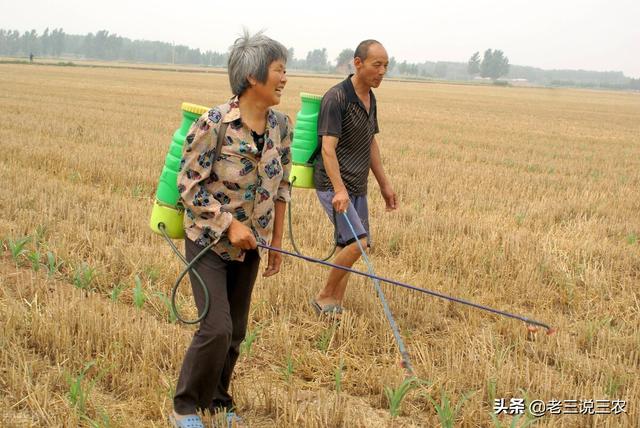 除草剂怎么用？什么时间用？记住这个简单办法，亩收1000斤不发愁6