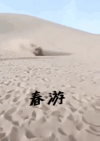 爆笑的GIF动态图：马蜂窝不是你想捅就能捅的