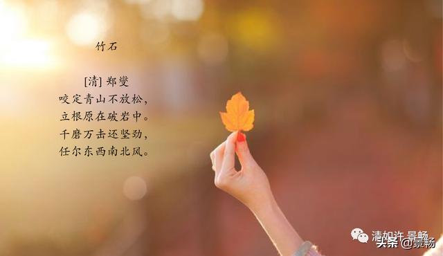 工作篇——位置