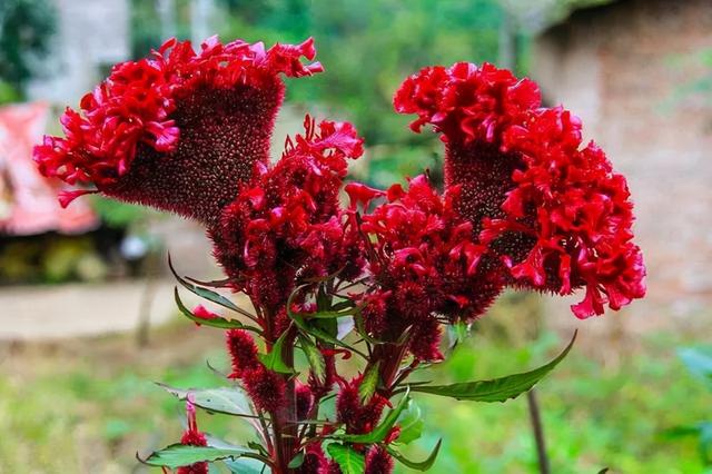 杜牧的一首 泊秦淮 让一个词语流传至今 全网搜