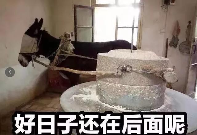 成交额都没公布，双十一真的凉了？