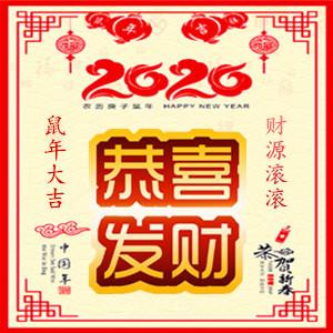 “2020”鼠你好运，大吉大利！微信旺财头像