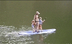 搞笑的动图GIF：小屁屁依然销魂！