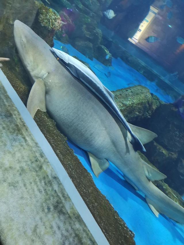 有能力就带孩子到处看看