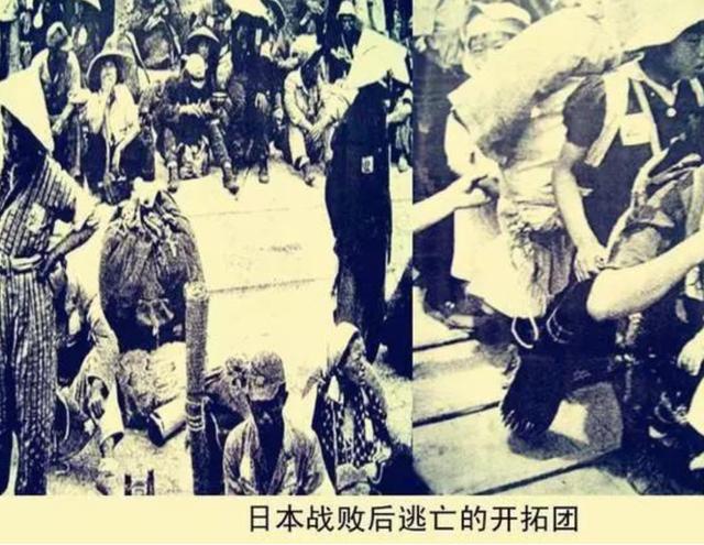 张家口制砂机优质商家