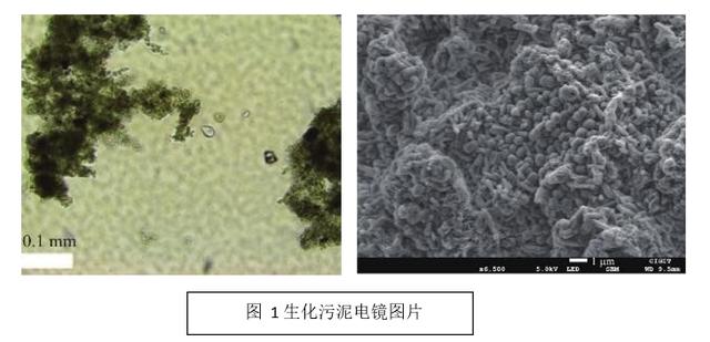 板框过滤机液压图