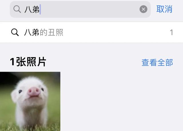 用了5年iPhone，才知道「相册」能这样玩