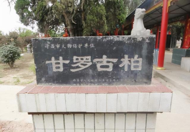 皇帝：我要吃公鸡下的蛋，甘罗：这有何难？后甘罗官拜丞相