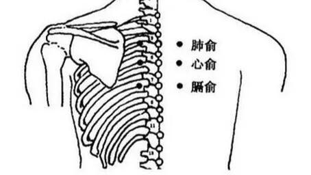关于灸的常识及保健穴位