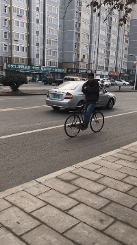 搞笑雷人的动图GIF图片：其实，隔壁老王也不好当啊！