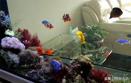 一缸多过滤机