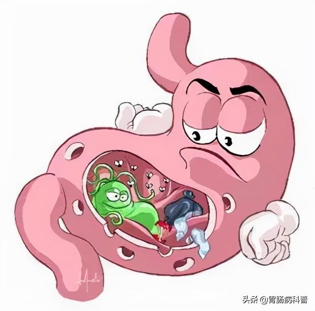 体检报告，看不懂？来看这一篇