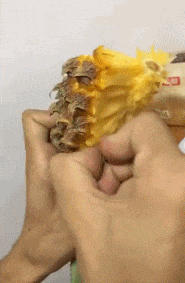 搞笑的动图GIF：如何徒手吃菠萝