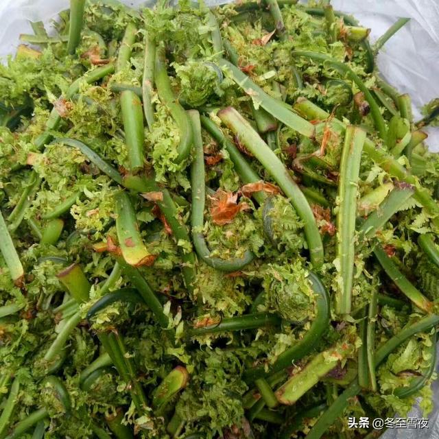 山野菜的做法