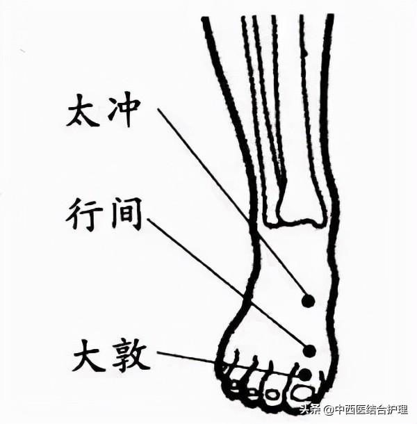 「穴位经络养生」穴位就是中药，经络就是药房！经常按摩穴位，太有用了！收藏吧