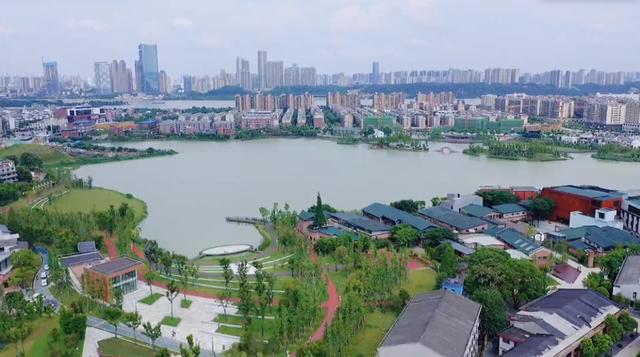 2019长沙药用机械展